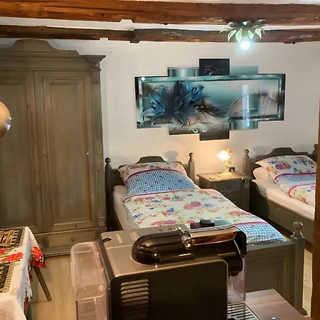 Penzion Landgasthof Und Hofmeister 4*