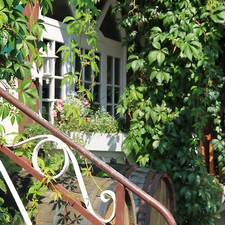 Landgasthof Und Hofmeister Pensjonat 4*