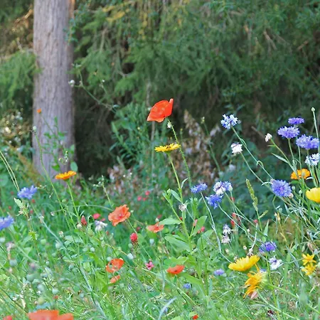Pensjonat Landgasthof Und Hofmeister