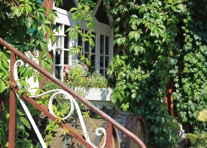 Landgasthof Und Hofmeister ゲストハウス 4*