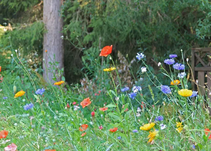 ゲストハウス Landgasthof Und Hofmeister